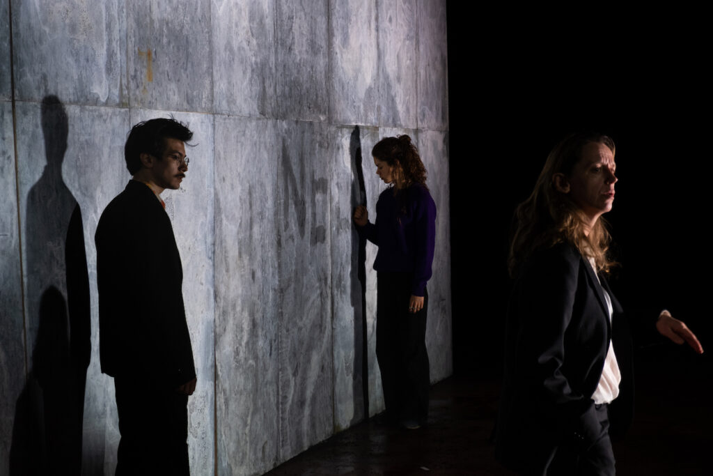 Anatomie Antigone
